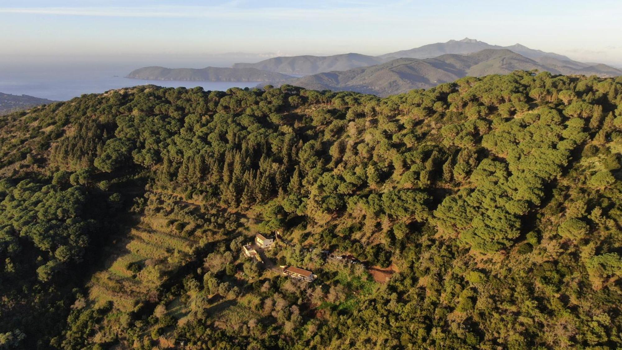 Aria Di Collina - Isola D'Elba Διαμέρισμα Porto Azzurro Εξωτερικό φωτογραφία