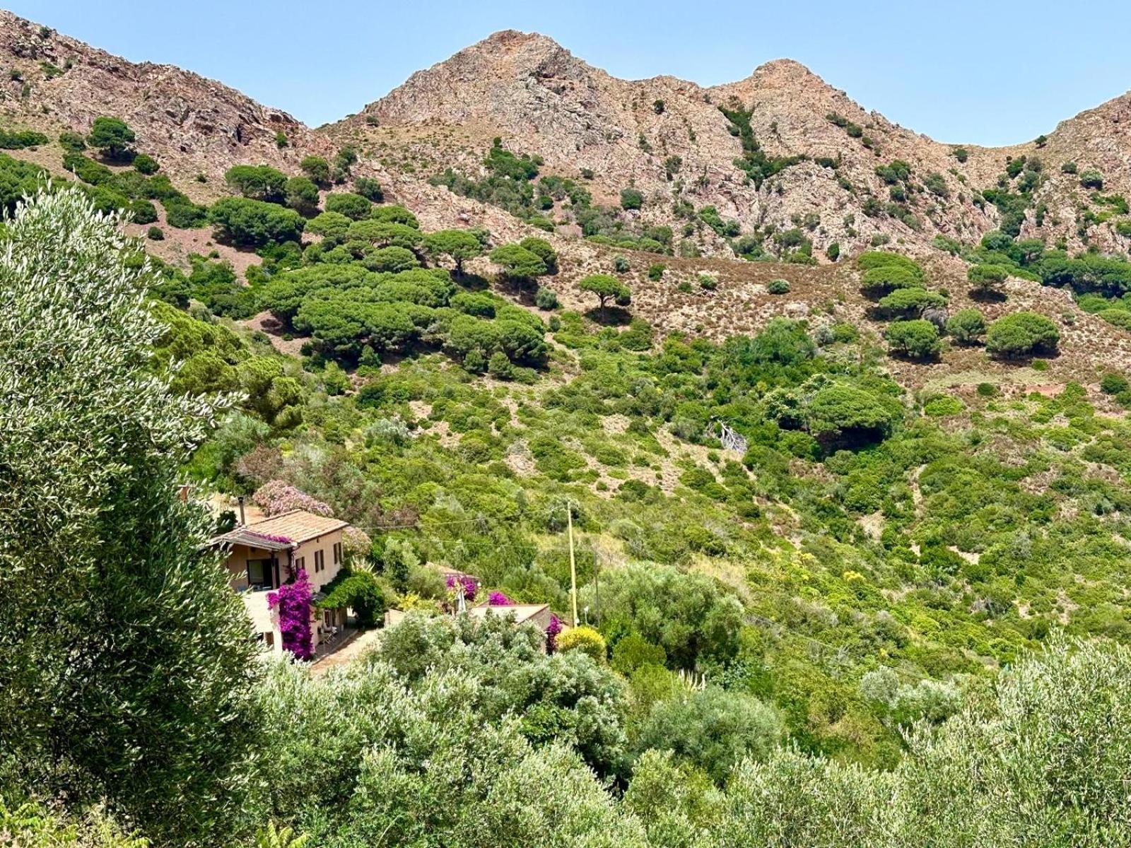 Aria Di Collina - Isola D'Elba Διαμέρισμα Porto Azzurro Εξωτερικό φωτογραφία